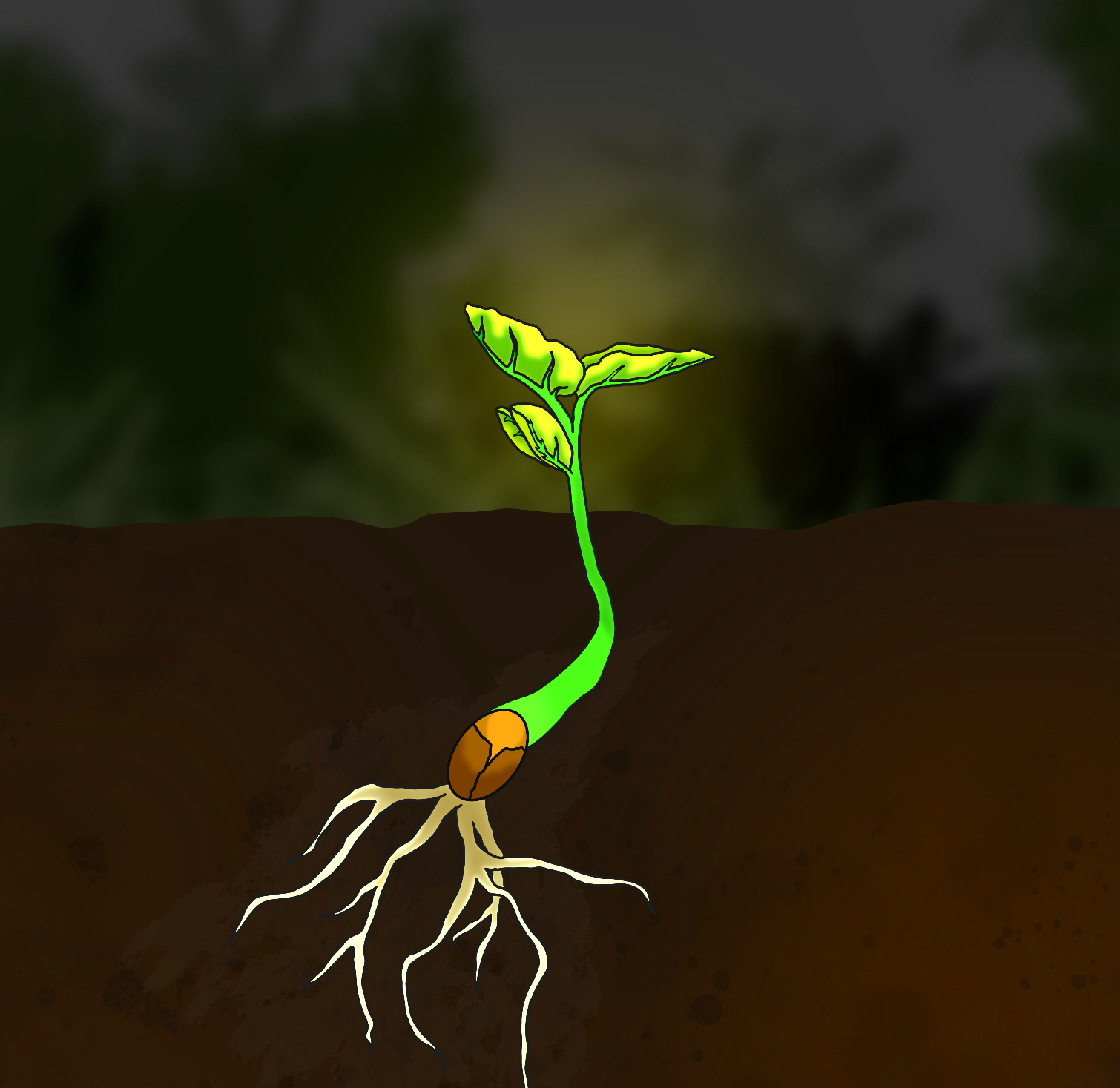 Good Soil